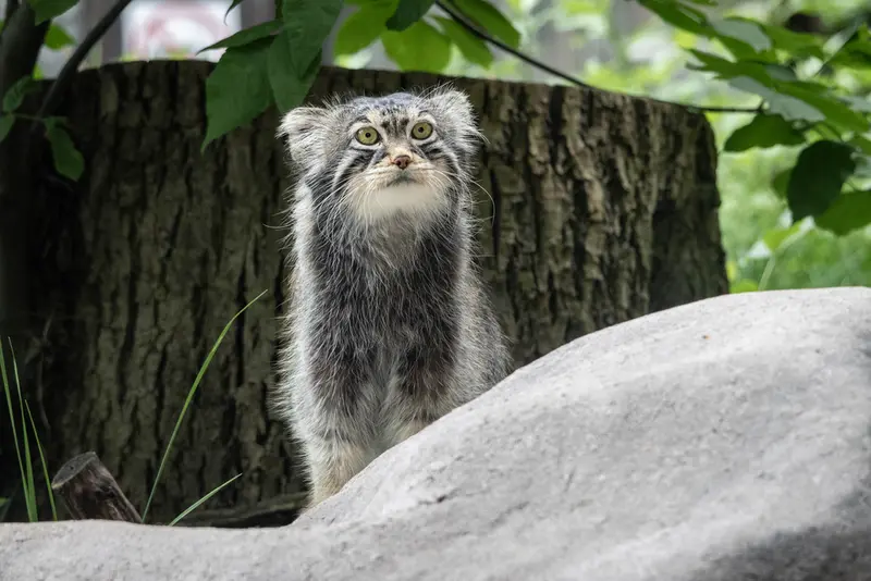 A photograph of Timofey in Moscow zoo