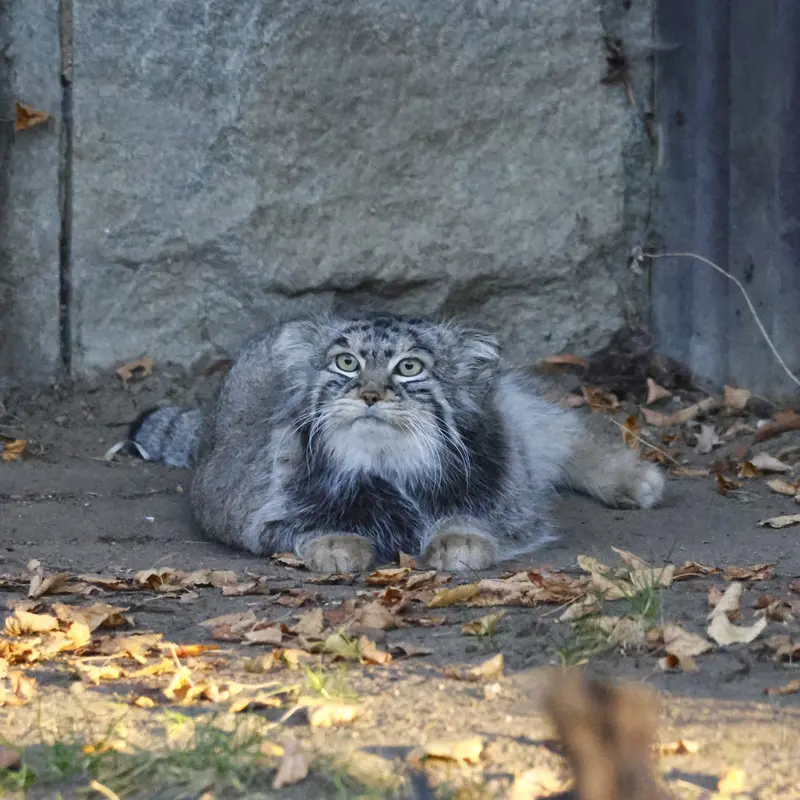 A photograph of Timofey in Moscow zoo