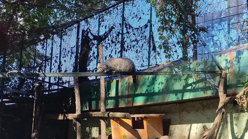 A photograph of Bohus in Budapest Zoo & Botanical Garden