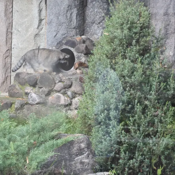 A photograph of Timofey in Moscow zoo
