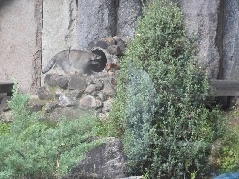 A photograph of Timofey in Moscow zoo