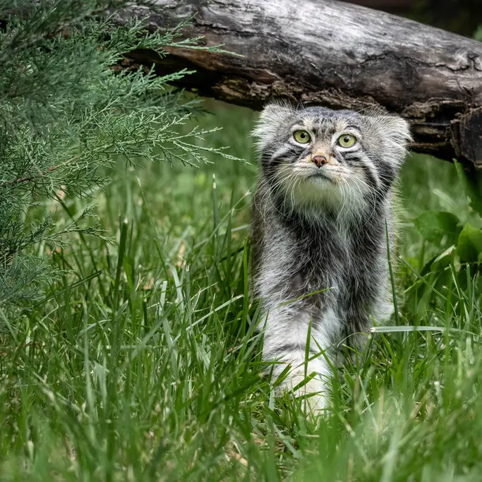 A photograph of Timofey in Moscow zoo