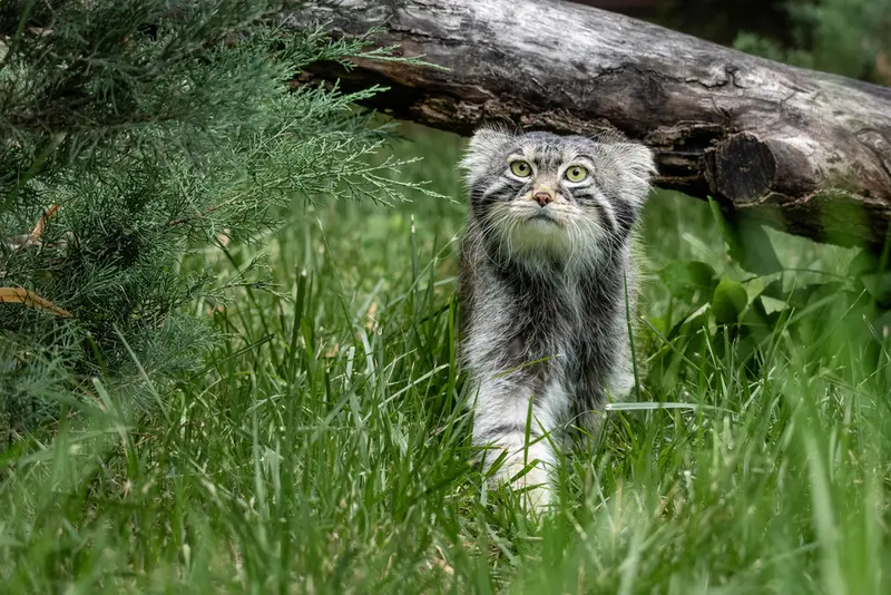 A photograph of Timofey in Moscow zoo