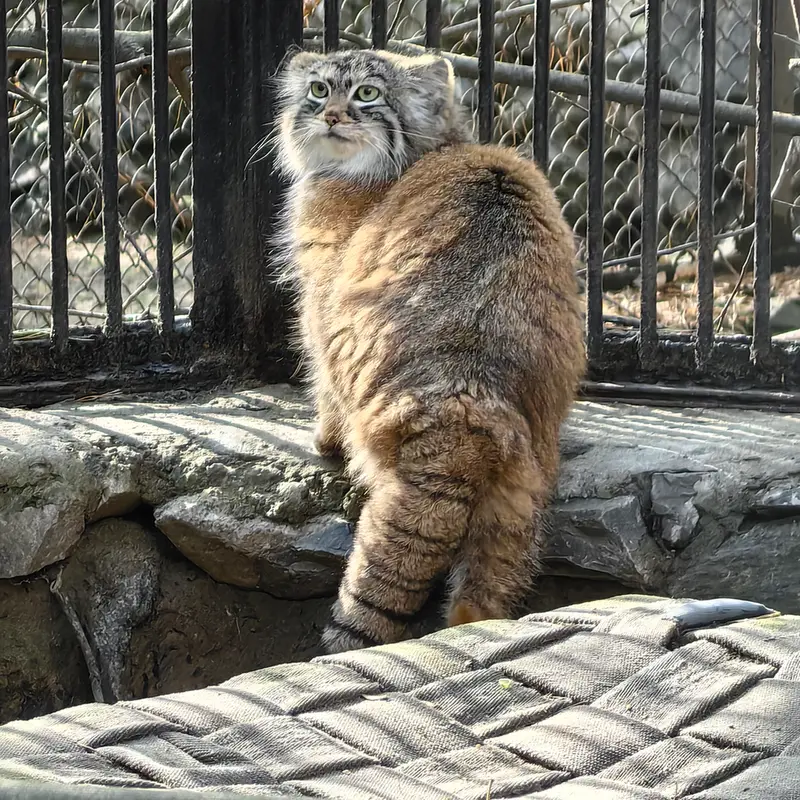 A photograph of Anya in Novosibirsk Zoo