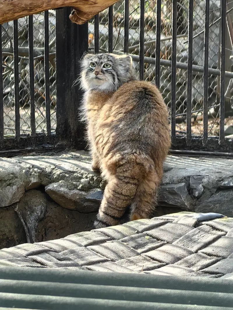 A photograph of Anya in Novosibirsk Zoo