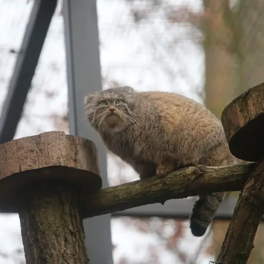 A photograph of Ula in Gdansk Zoo