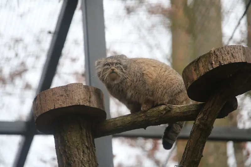 A photograph of Ula in Gdansk Zoo