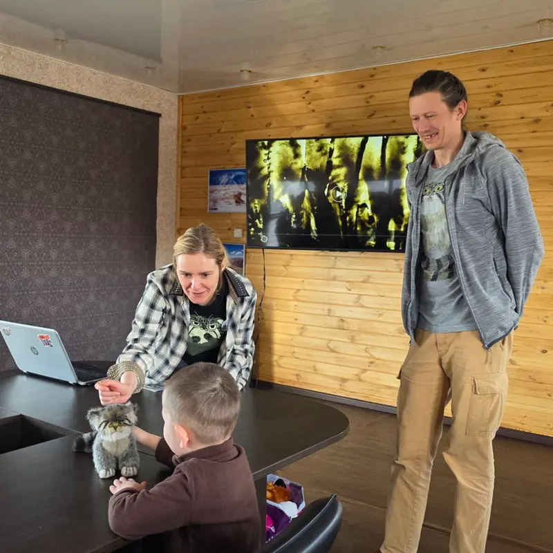 A photograph of a Pallas's cat