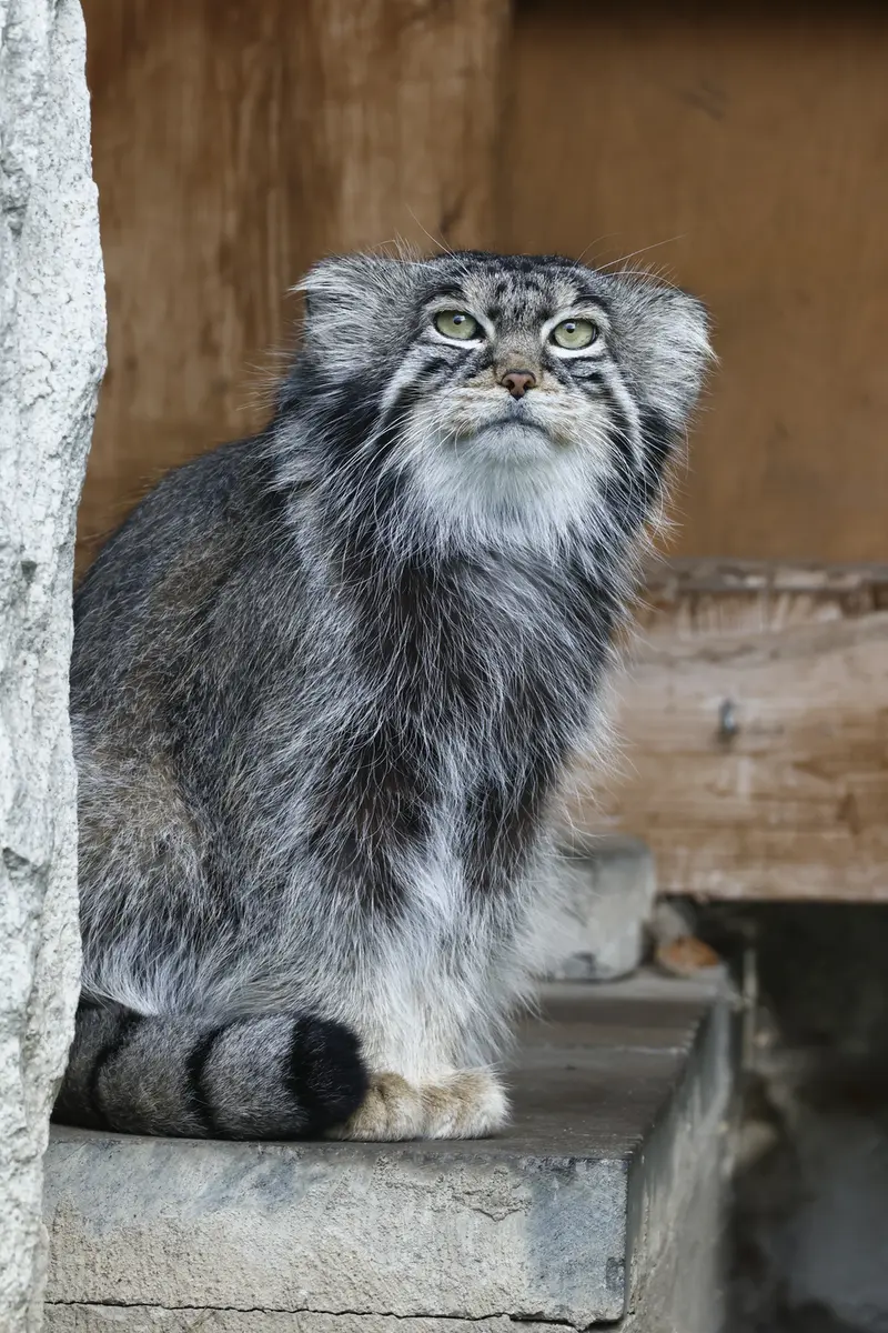 A photograph of Timofey in Moscow zoo