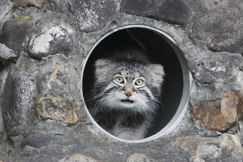 A photograph of Timofey in Moscow zoo