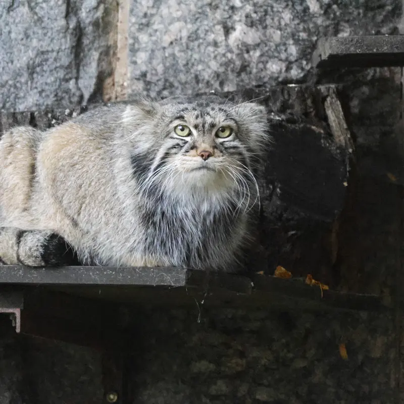A photograph of Timofey in Moscow zoo