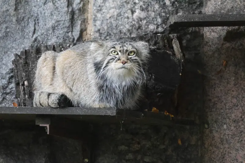 A photograph of Timofey in Moscow zoo