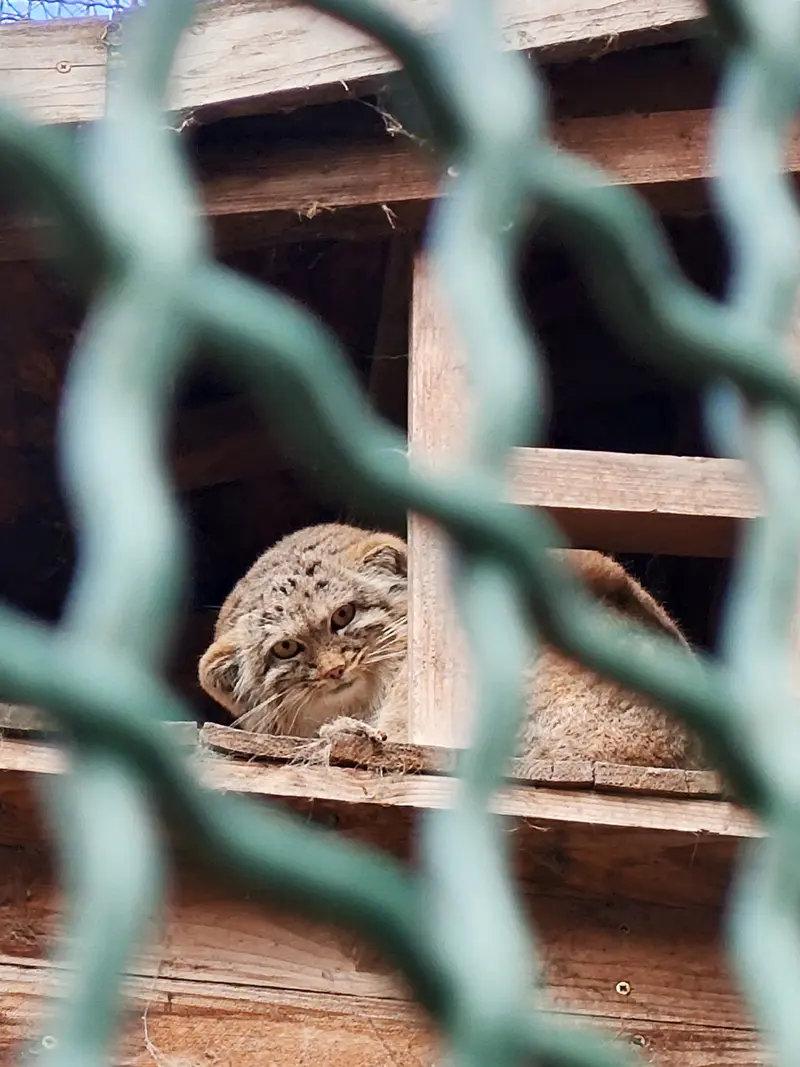 A photograph of Lucy in Budapest Zoo &amp; Botanical Garden