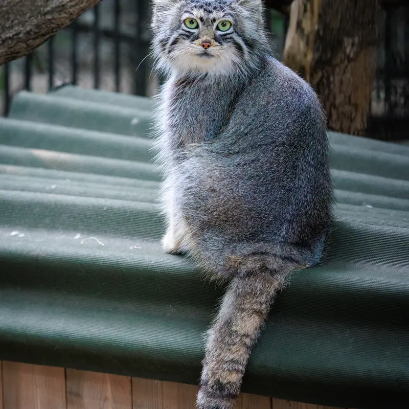 A photograph of Anya in Novosibirsk Zoo