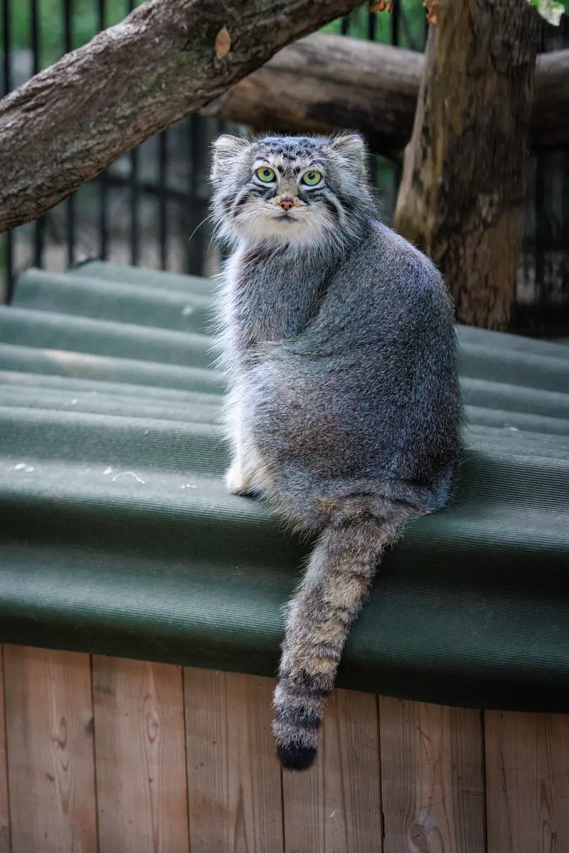 A photograph of Anya in Novosibirsk Zoo