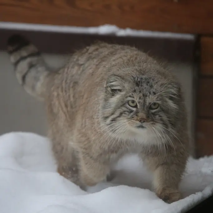 A photograph of Manuel in Gdansk Zoo