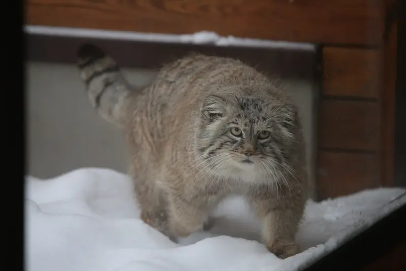 A photograph of Manuel in Gdansk Zoo