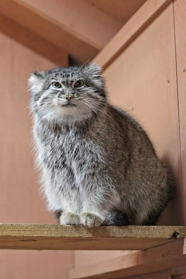 A photograph of Marie in Saitama Children's Zoo