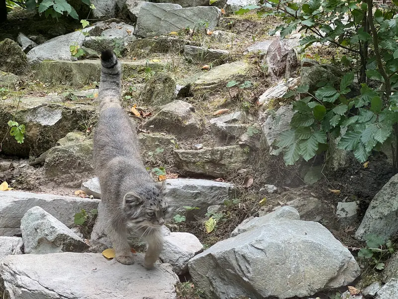A photograph of Fay in Opel Zoo
