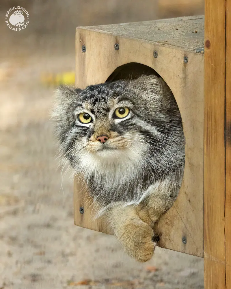 A photograph of Bruce in Novosibirsk Zoo