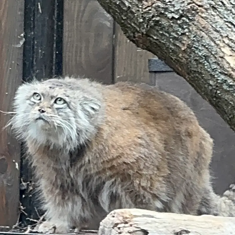 A photograph of Jessie in Warsaw Zoo