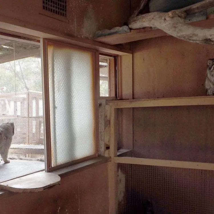 A photograph of Sebastian and Tabby in Saitama Children's Zoo