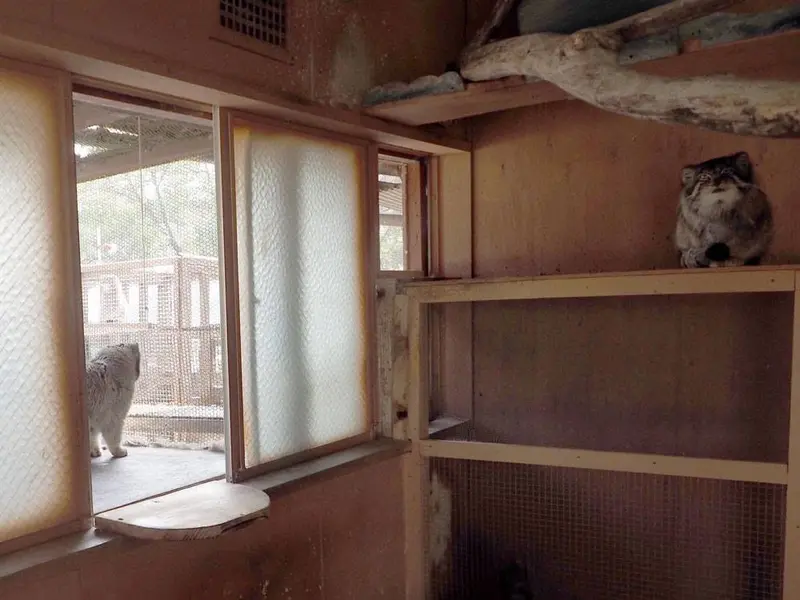 A photograph of Sebastian and Tabby in Saitama Children's Zoo