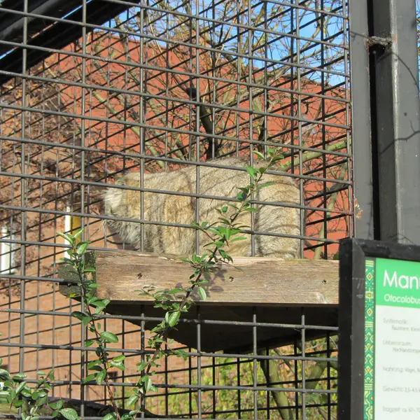 A photograph of Jonathan in Magdeburg Zoo