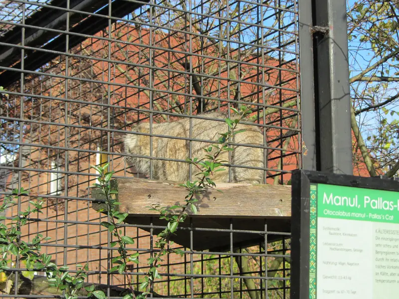 A photograph of Jonathan in Magdeburg Zoo