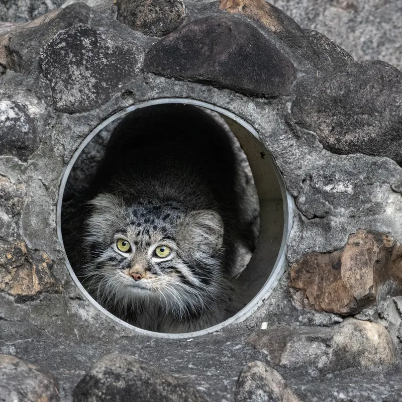 A photograph of Timofey in Moscow zoo