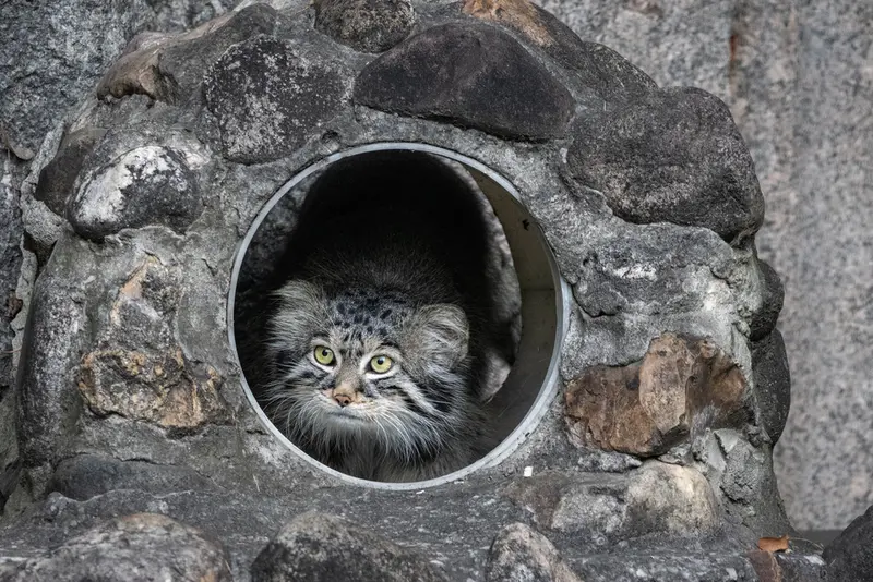 A photograph of Timofey in Moscow zoo