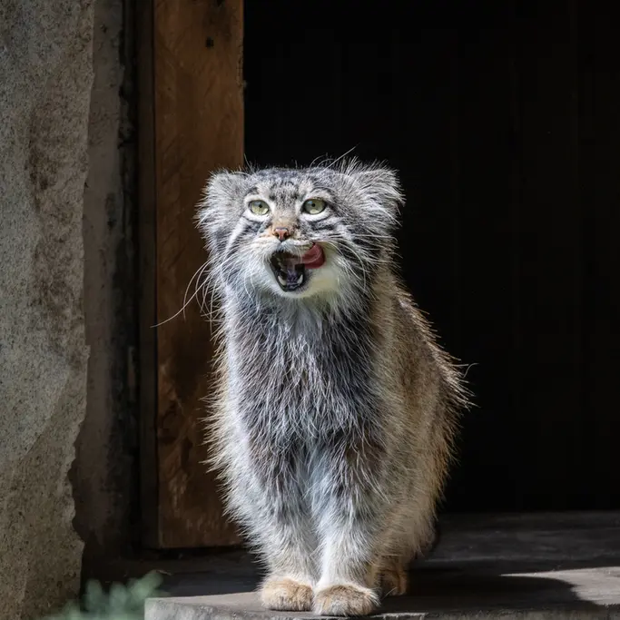 A photograph of Timofey in Moscow zoo