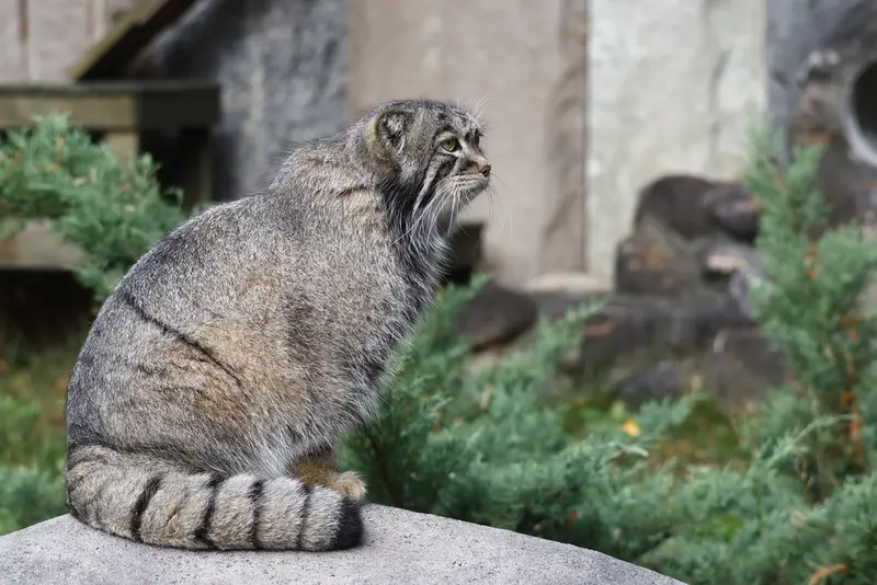 A photograph of Timofey in Moscow zoo