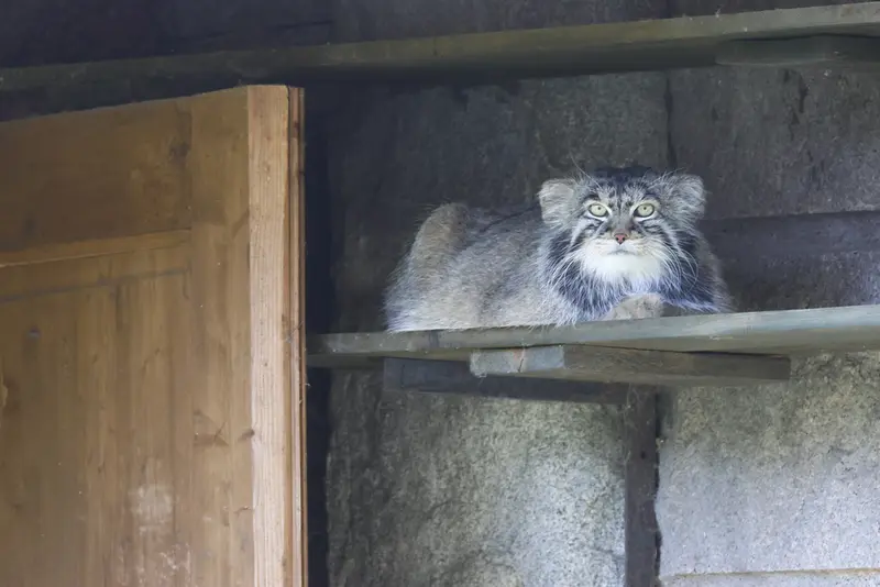 A photograph of Timofey in Moscow zoo