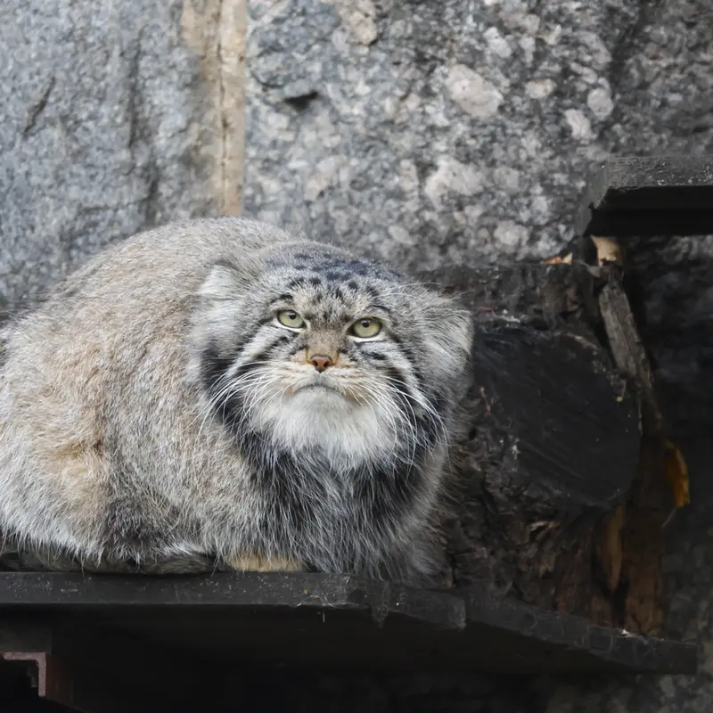 A photograph of Timofey in Moscow zoo