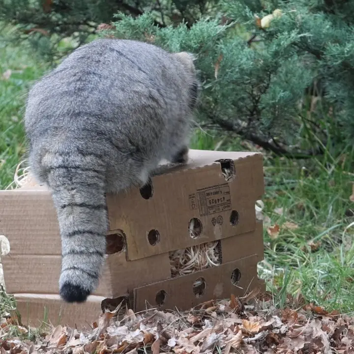 A photograph of Timofey in Moscow zoo