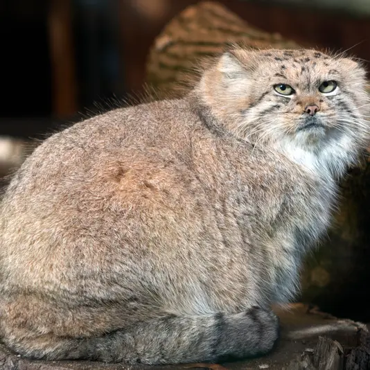 A photograph of Melissa in Lithuanian Zoo