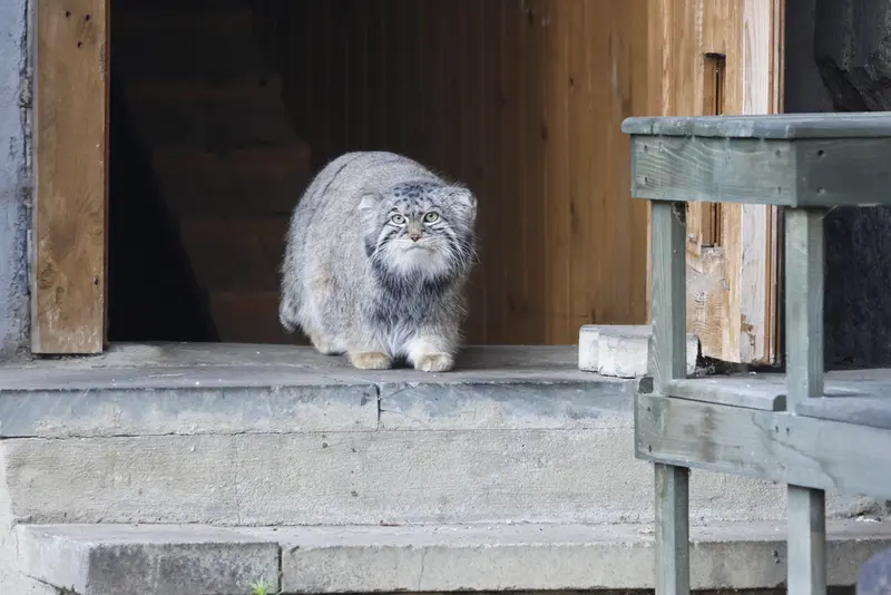 A photograph of Timofey in Moscow zoo
