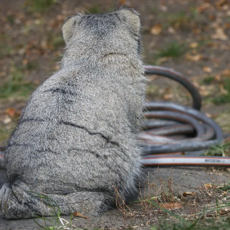 A photograph of Timofey in Moscow zoo