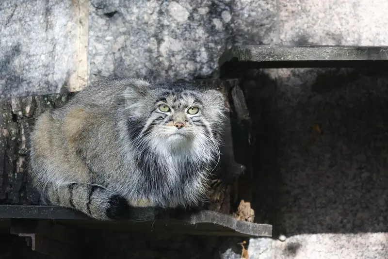 A photograph of Timofey in Moscow zoo