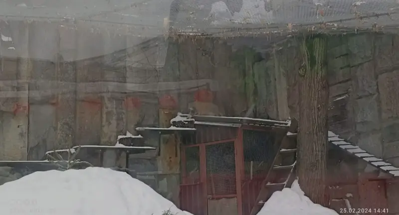 A photograph of Timofey in Moscow zoo