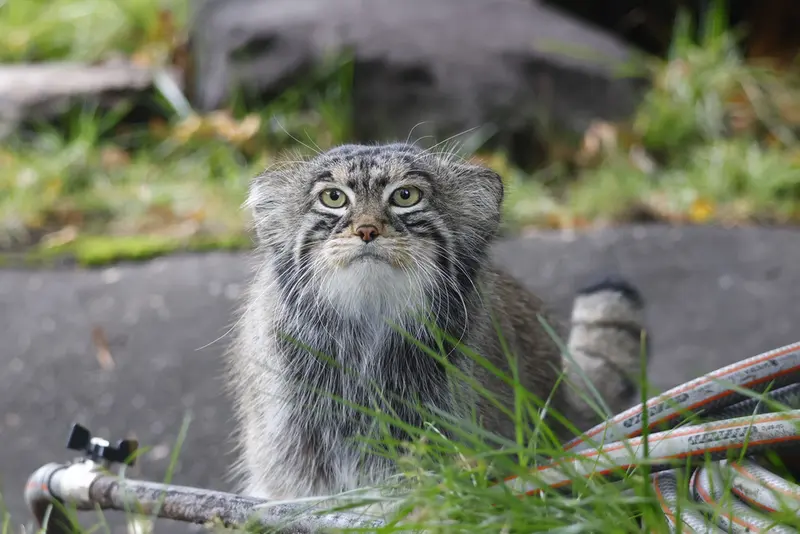 A photograph of Timofey in Moscow zoo