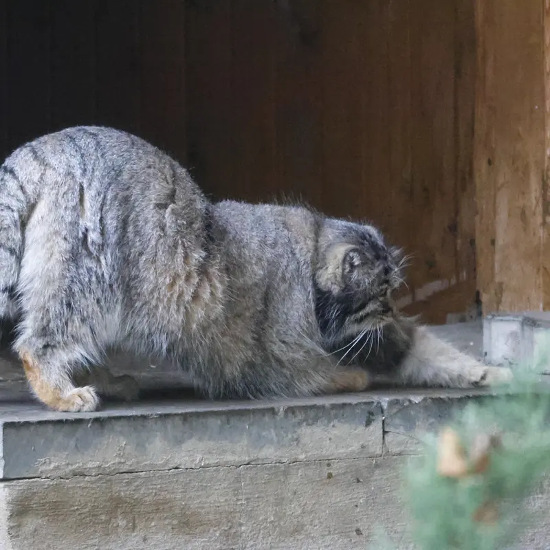 A photograph of Timofey in Moscow zoo