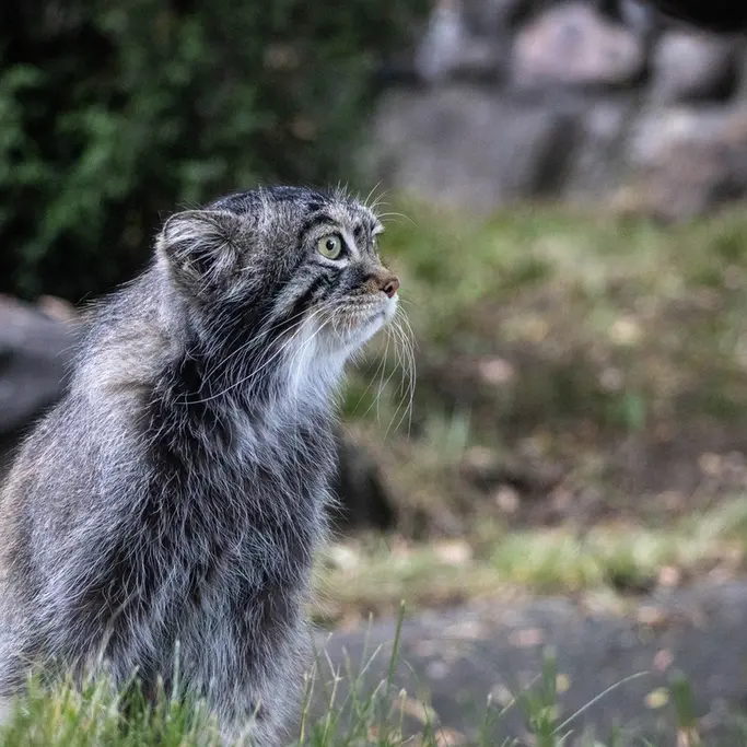A photograph of Timofey in Moscow zoo