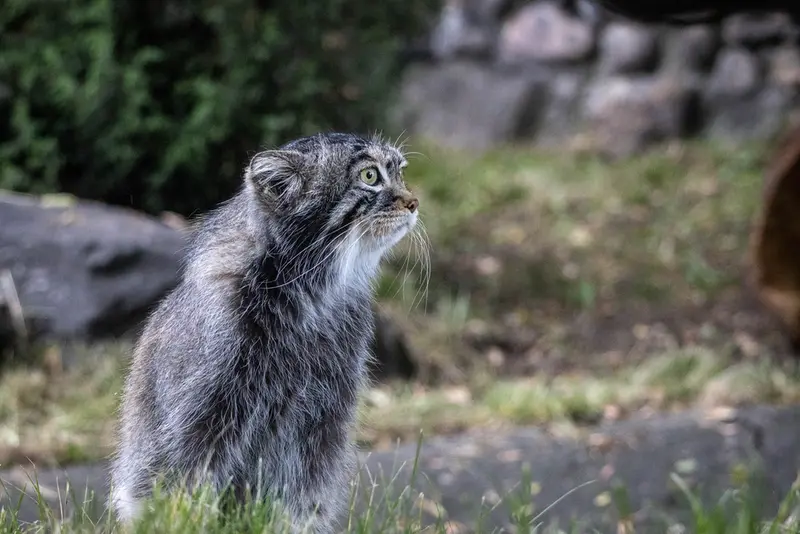 A photograph of Timofey in Moscow zoo