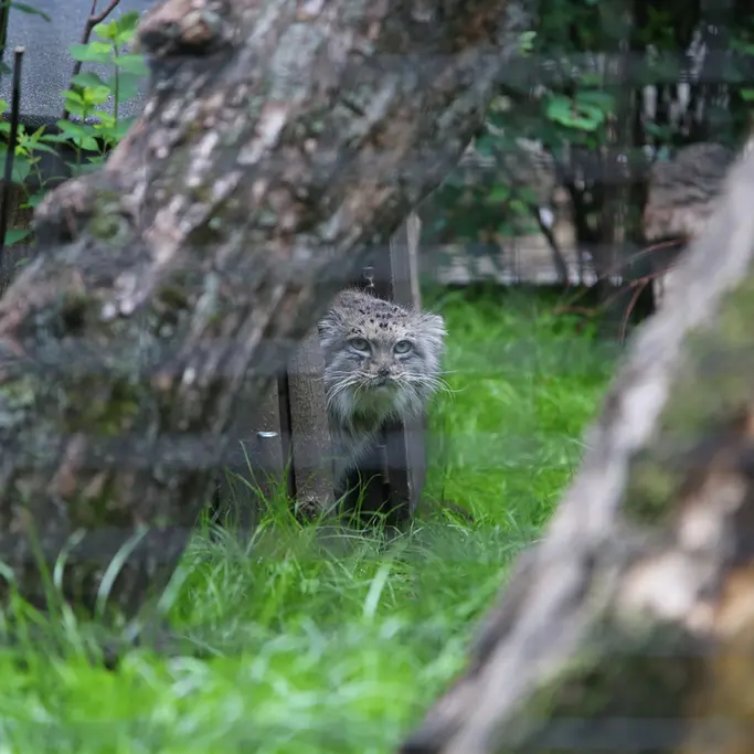 A photograph of Jessie in Warsaw Zoo