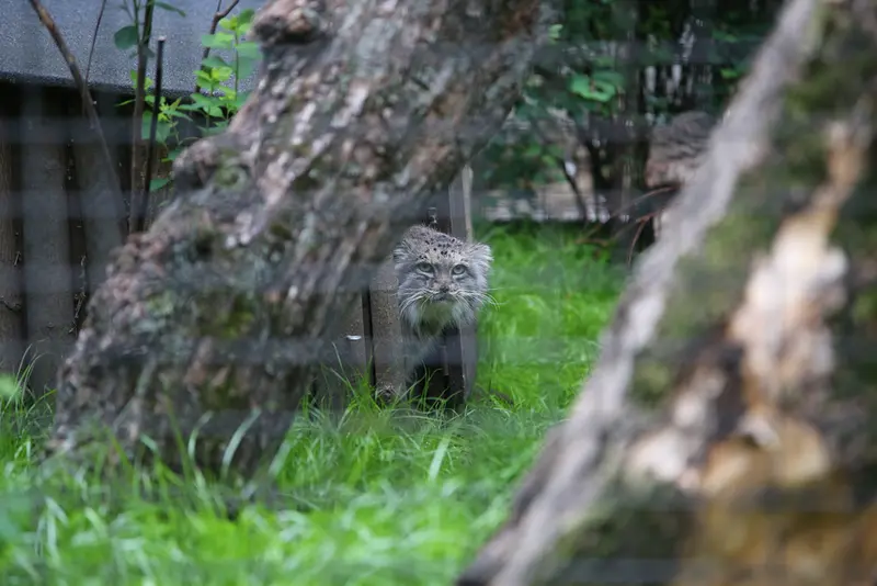 A photograph of Jessie in Warsaw Zoo