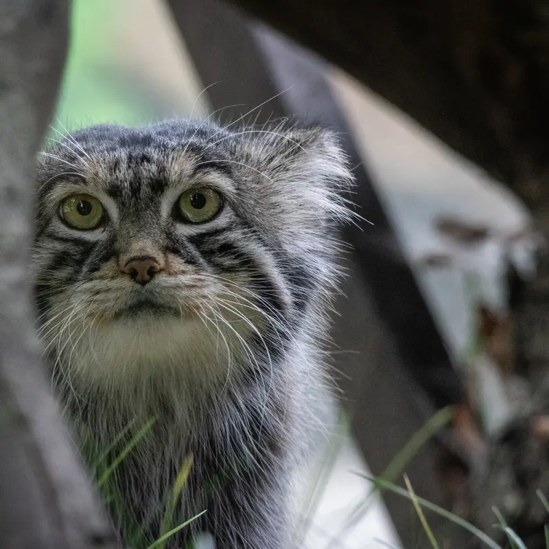 A photograph of Timofey in Moscow zoo