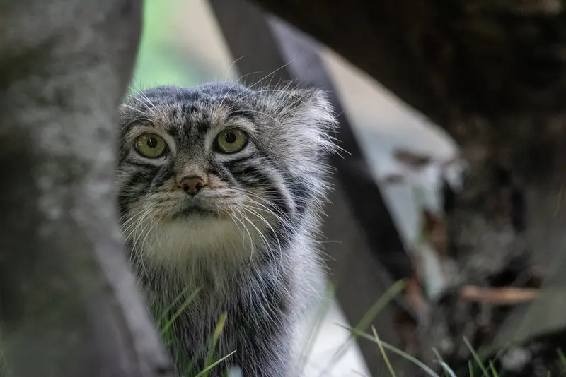 A photograph of Timofey in Moscow zoo