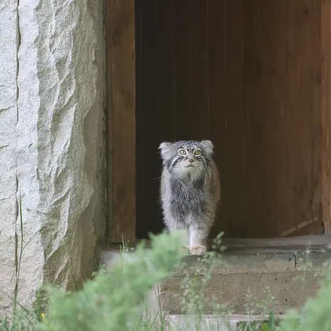 A photograph of Timofey in Moscow zoo